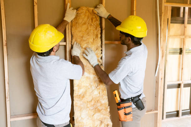 Best Professional Insulation Contractor  in Glasgow, DE